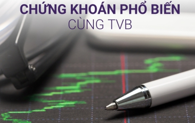PHONG CÁCH ĐẦU TƯ: YẾU TỐ ĐỂ LỰA CHỌN LOẠI CỔ PHIẾU PHÙ HỢP 
